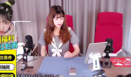 电脑性爱直播,电脑性爱直播的灰色地带与监管挑战