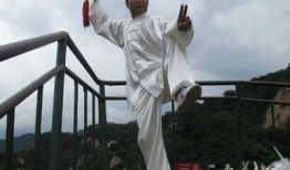 太极视频,视频中的动静相生与阴阳平衡